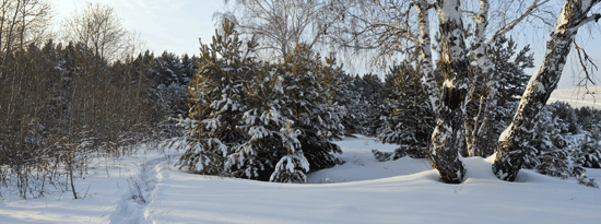 Winter-property-blog