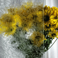 Gluechip | Product Code: PMR-GC6