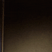 MAPLE Dark Chocolate (11124) | Product Code:  STD-FS-G