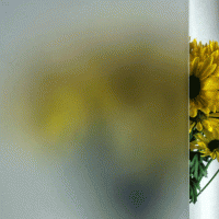 Acid Etched | Product Code: PMR-acidetched