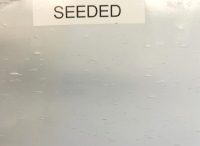 Seeded | Product Code: PMR- Seeded