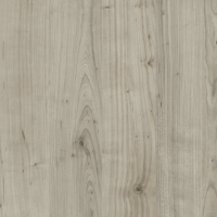 Spectra | Product Code: STD-DLV-1P