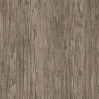 Stargazer | Product Code: PMR-ABF