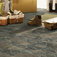 Specifi-Pompano-Carbon  |  Product Code:  STD-1132