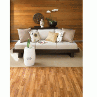 Clearwater-Oak Cinnamon  |  Product Code:  PMR-1202