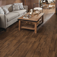 Dakota-Saddle  |  Product Code:  PMR-1363