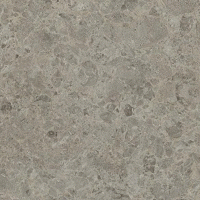 Silver Shalestone Matte | Product Code:  STD-9307-58 | Chip: 81