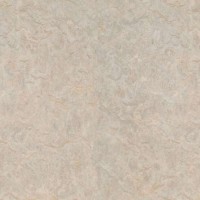 Impresario - Taupe | Product Code: PMR-58051
