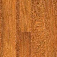 Exotic Elm - Cherry | Product Code: PMR-58061