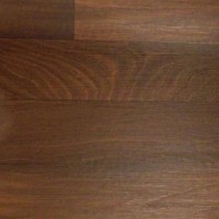 Exotic Elm | Product Code: PMR-58121