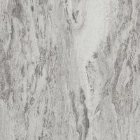 Galactic Dust Evolution | Product Code: STD-MG180EV Chip 8