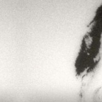 Pearl Gray | Product Code: PMR-299Pearlgray