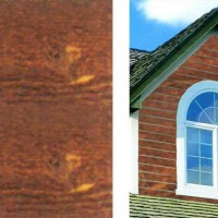 Cedar Clad Carolina | Product Code: PMR-36T