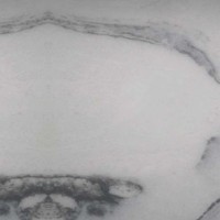 Platinum White Granite |Product Code: PMR-377PlatinumWhite