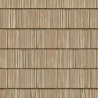 Vanilla Bean | Product Code: PMR-804