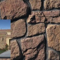 Chardonnay | Product Code: PMR-CSV-368105