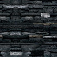 Black Rundle | Product Code: PMR-CSV-449974