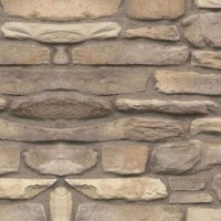 Burnt Ochre | Product Code: PMR-CSV-498728