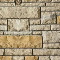 Golden Buckeye | Product Code: PMR-CSV-528458