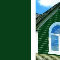 Cedar Clad Forest | Product Code: PMR-Forest