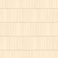 Maize  | Product Code: PMR-V-002