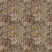 Fireworks | Product Code: STD-00741