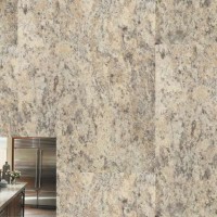 Belmonte Granite | Product Code: STD-349-46 | Chip 97
