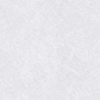 Grey Pampas | Product Code: STD-4168-60 | Chip 49