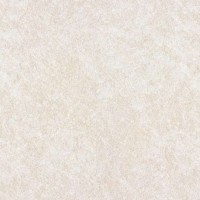Beige Pampas | Product Code: STD-4170-60 | Chip 56