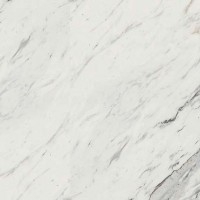 Calcutta Marble | Product Code: STD-4925K-07 | Chip 40