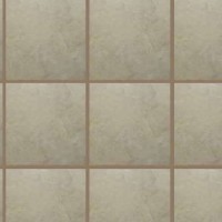 GROUT COLOUR BIRCH | PRODUCT CODE: STD-903