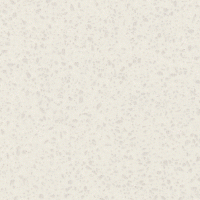 Paloma Polar Etchings | Product Code: STD-6698-46 | Chip 55